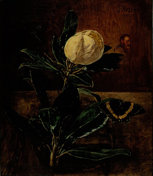 The Magnolia