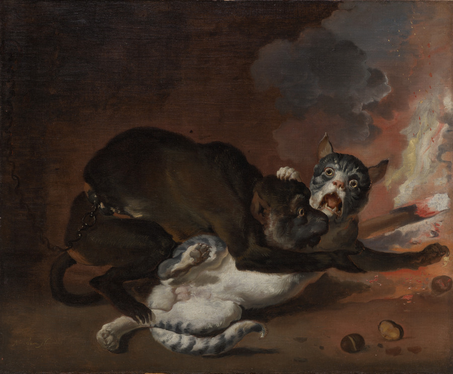 The Monkey and the Cat
