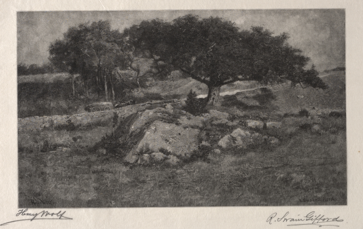 The Roadside