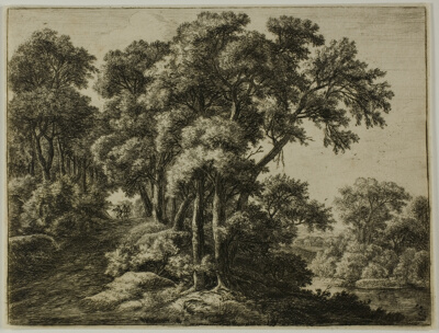 The Rustic Lane