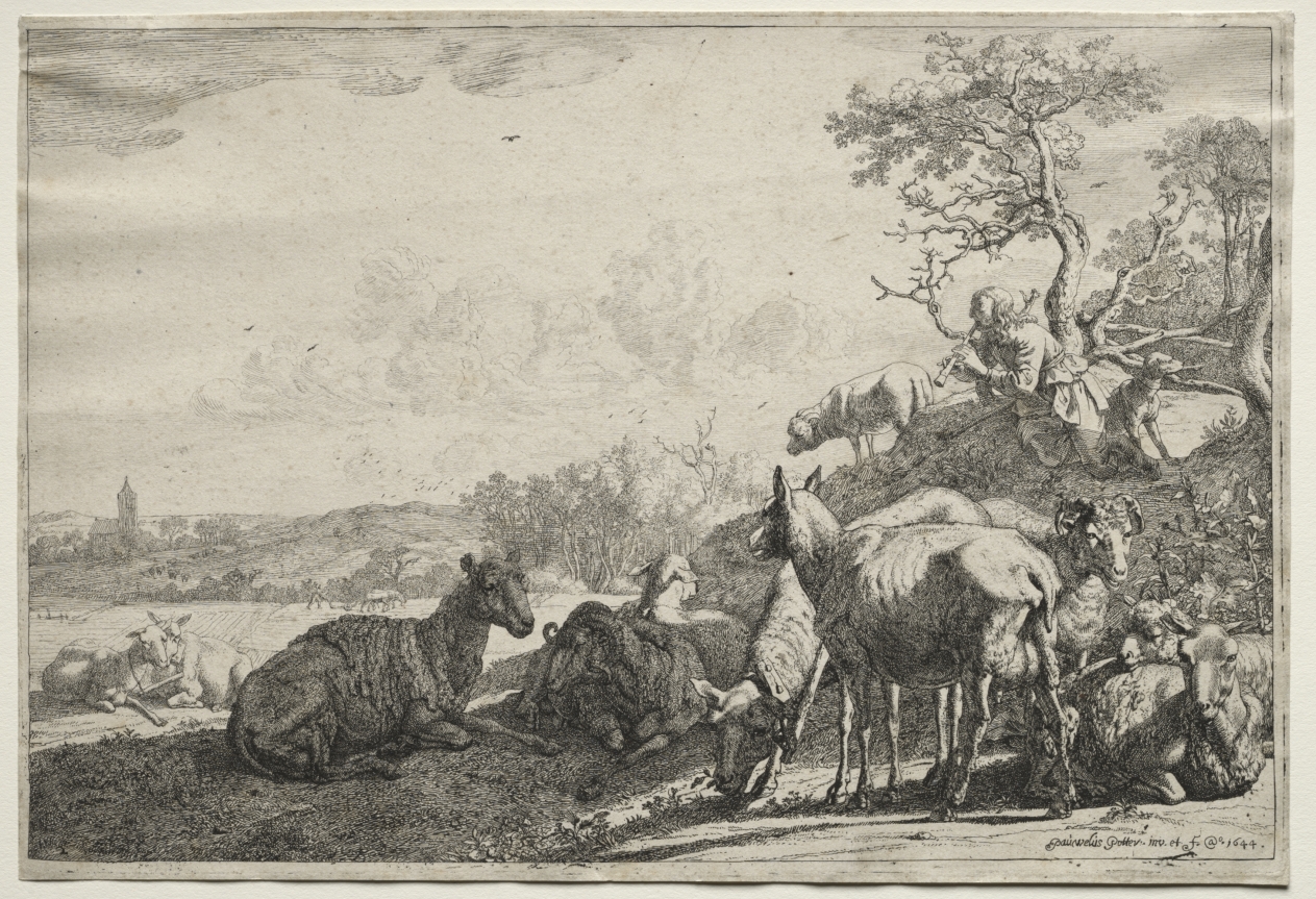 The Shepherd