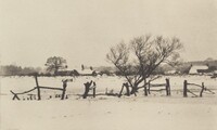 The Snowy Marshlands