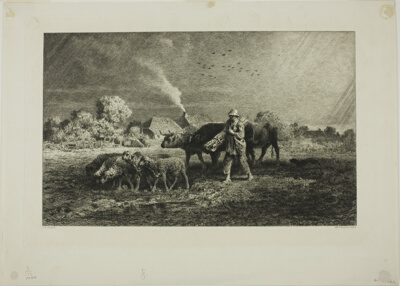 The Storm
