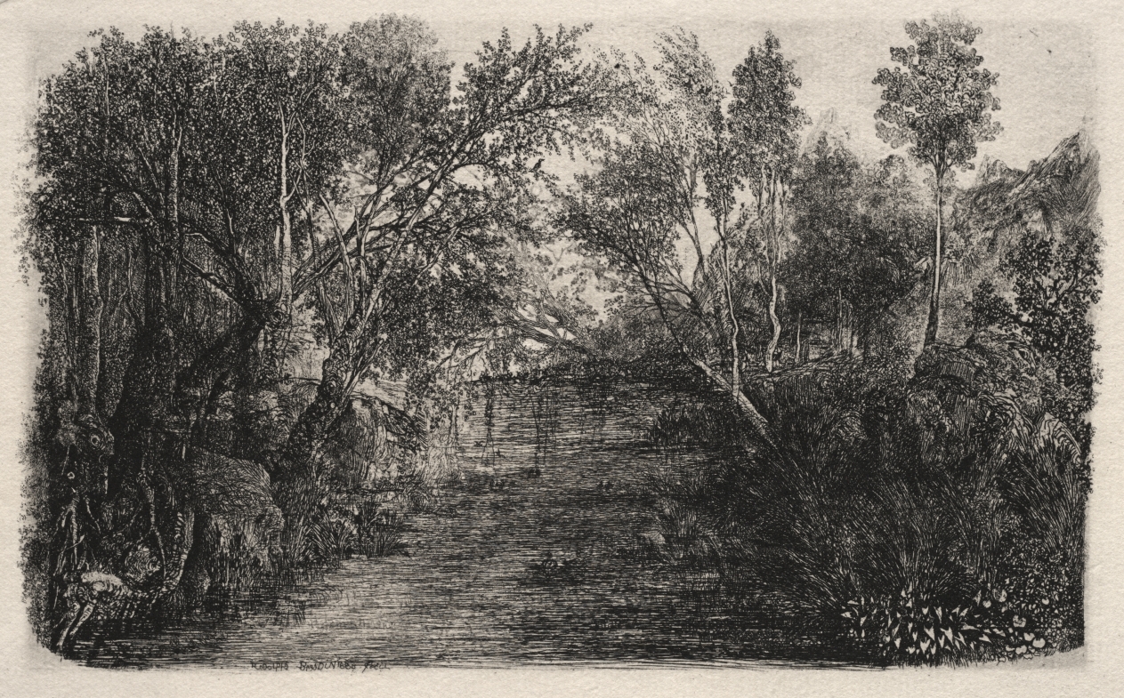 The Stream
