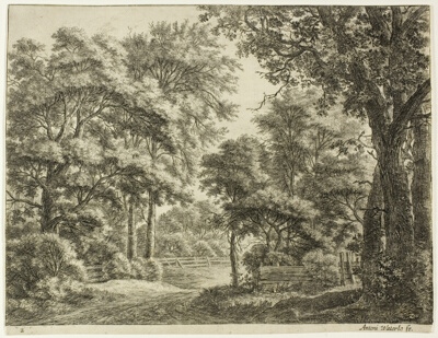 The Trimmed Groves