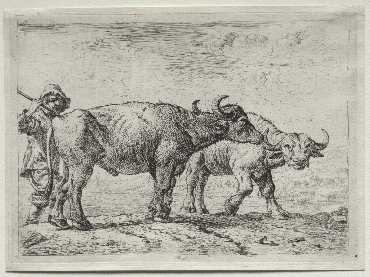 The Two Buffaloes