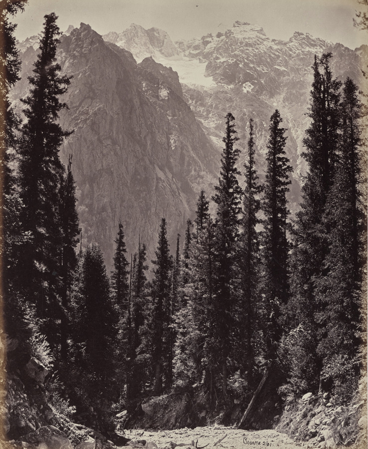 The Upper Himmalayahs. View in the Manga Valley