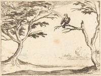 The Vulture