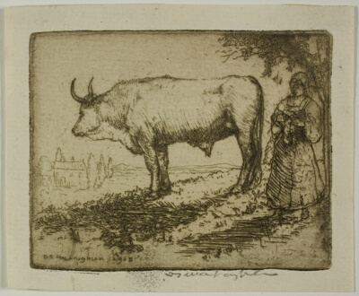 The White Ox