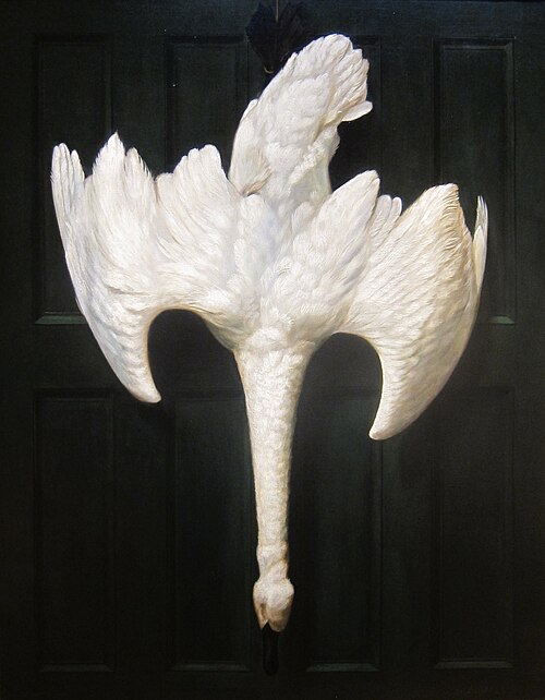 The Wild Swan