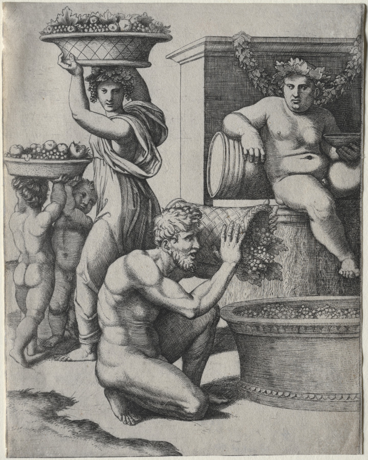 The Wine Press