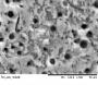 Thinocorus orbignyianus