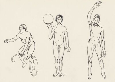 Three different physique types