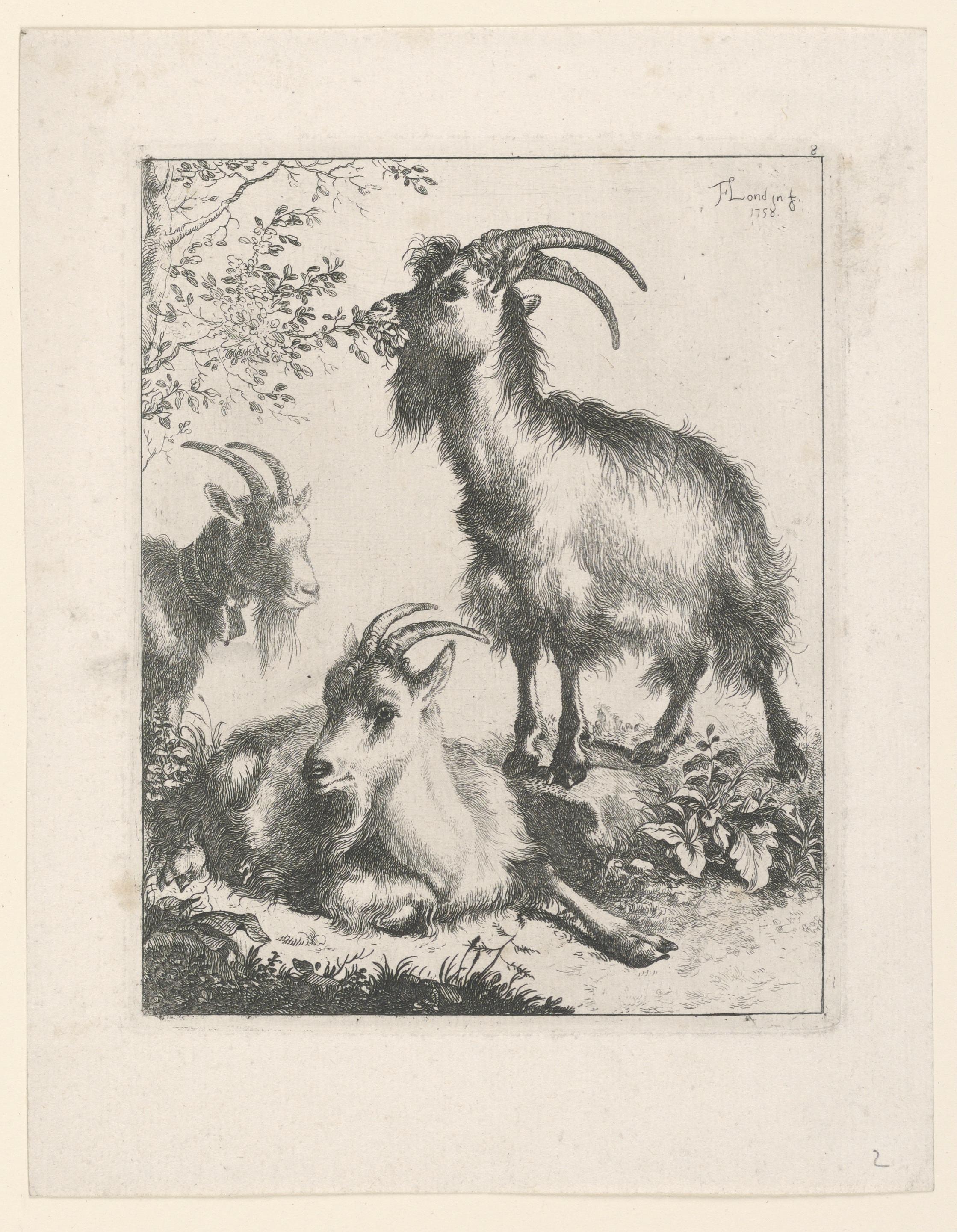 Three Goats