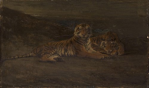 Tigers