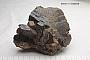 Titanite