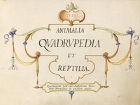 Title Page