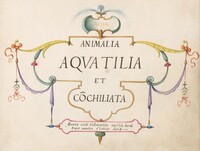 Title Page