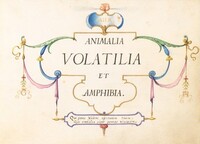 Title Page