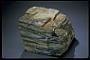 Tonalitic gneiss