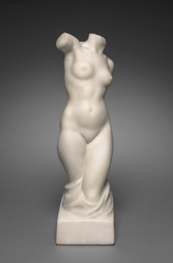 Torso