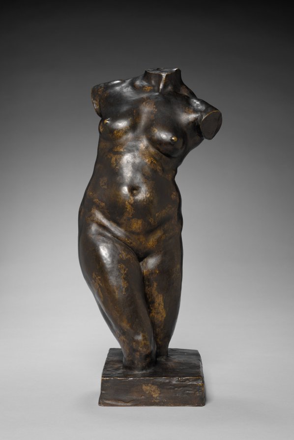 Torso