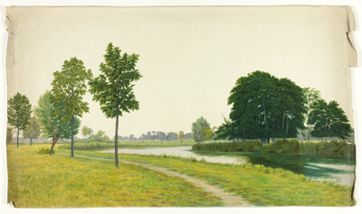 Tranquil Park Scene