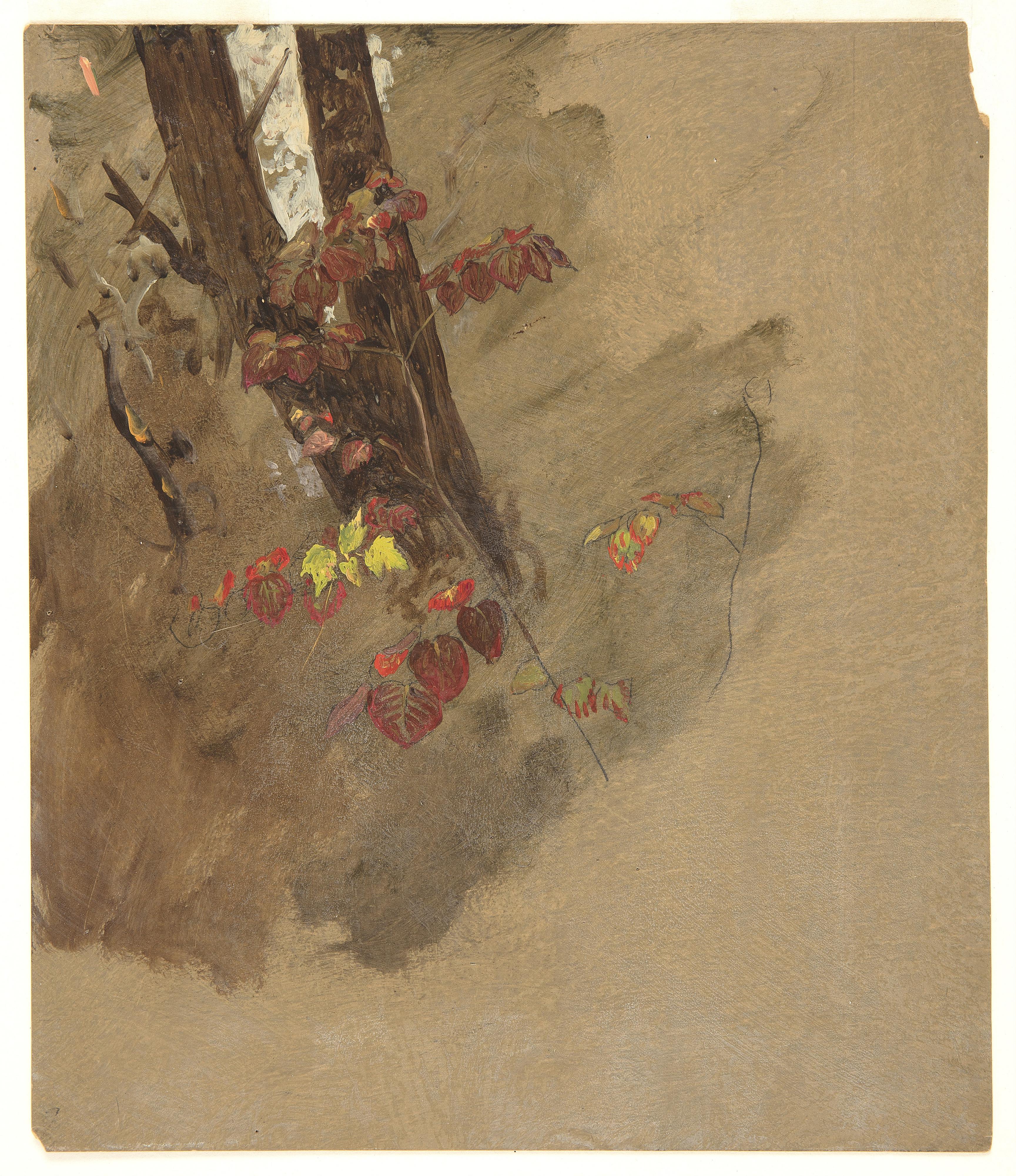 Tree and Leaves