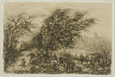 Trees Bending in the Wind
