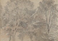Treetops [verso]