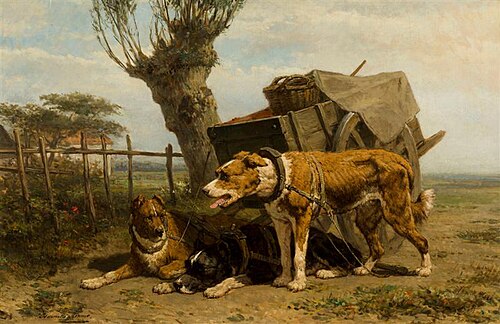Trekhonden