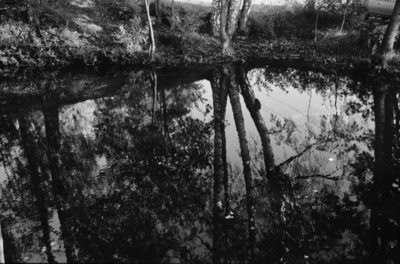 Tullisaari