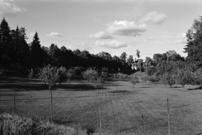Tullisaari