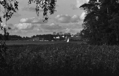 Tullisaari