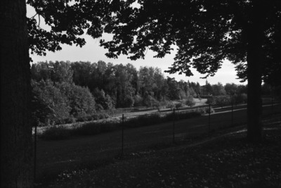 Tullisaari