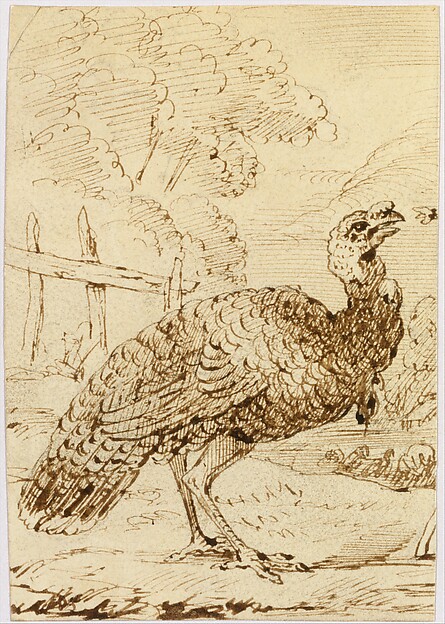 Turkey