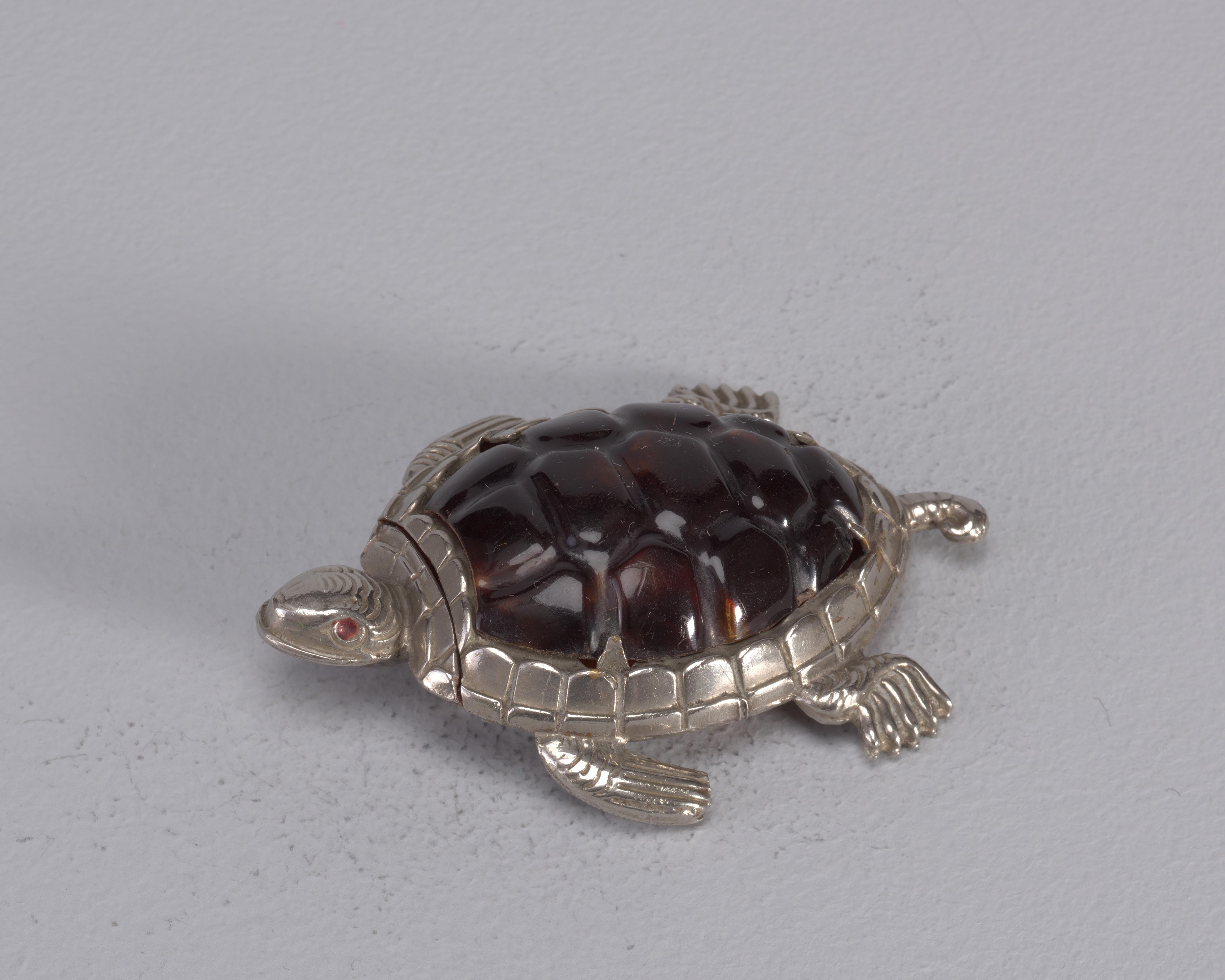 Turtle