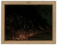 Turtle Hunt