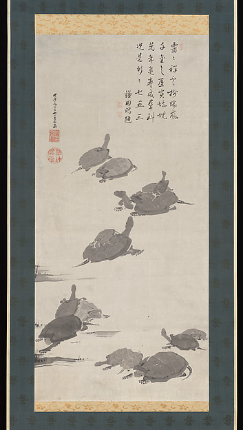 Turtles