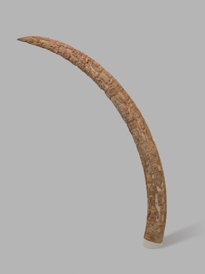 Tusk
