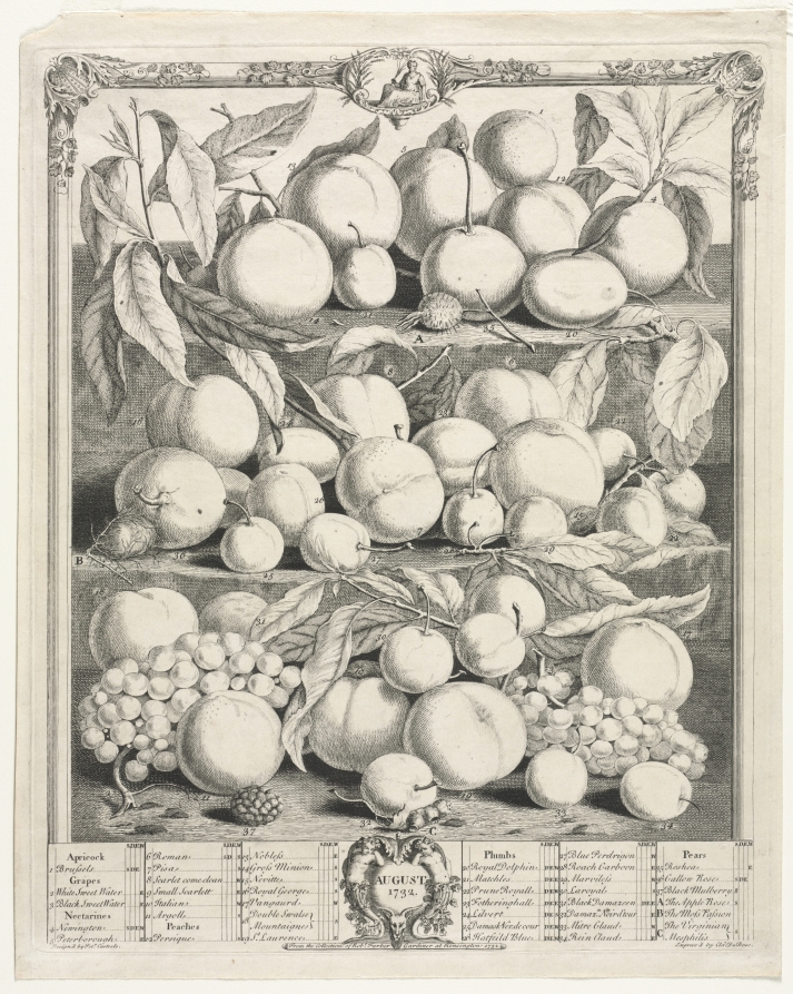 Twelve Months of Fruit:  August