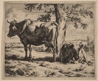 Two Cows under a Tree