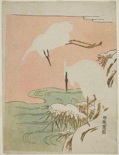 Two Egrets in the Snow