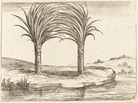 Two Palm Trees