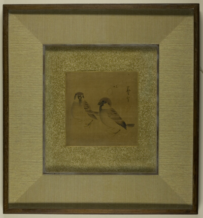 Two sparrows