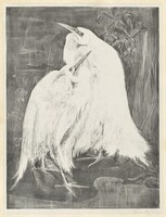 Two White Egrets