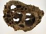 Unidentified rock
