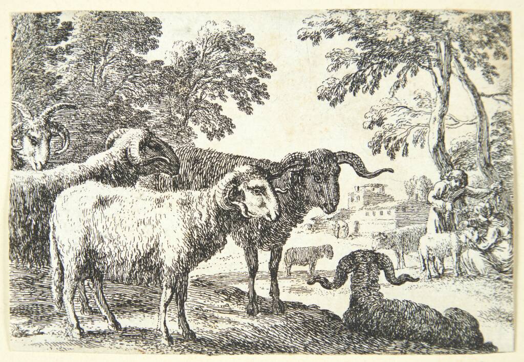 Væddere