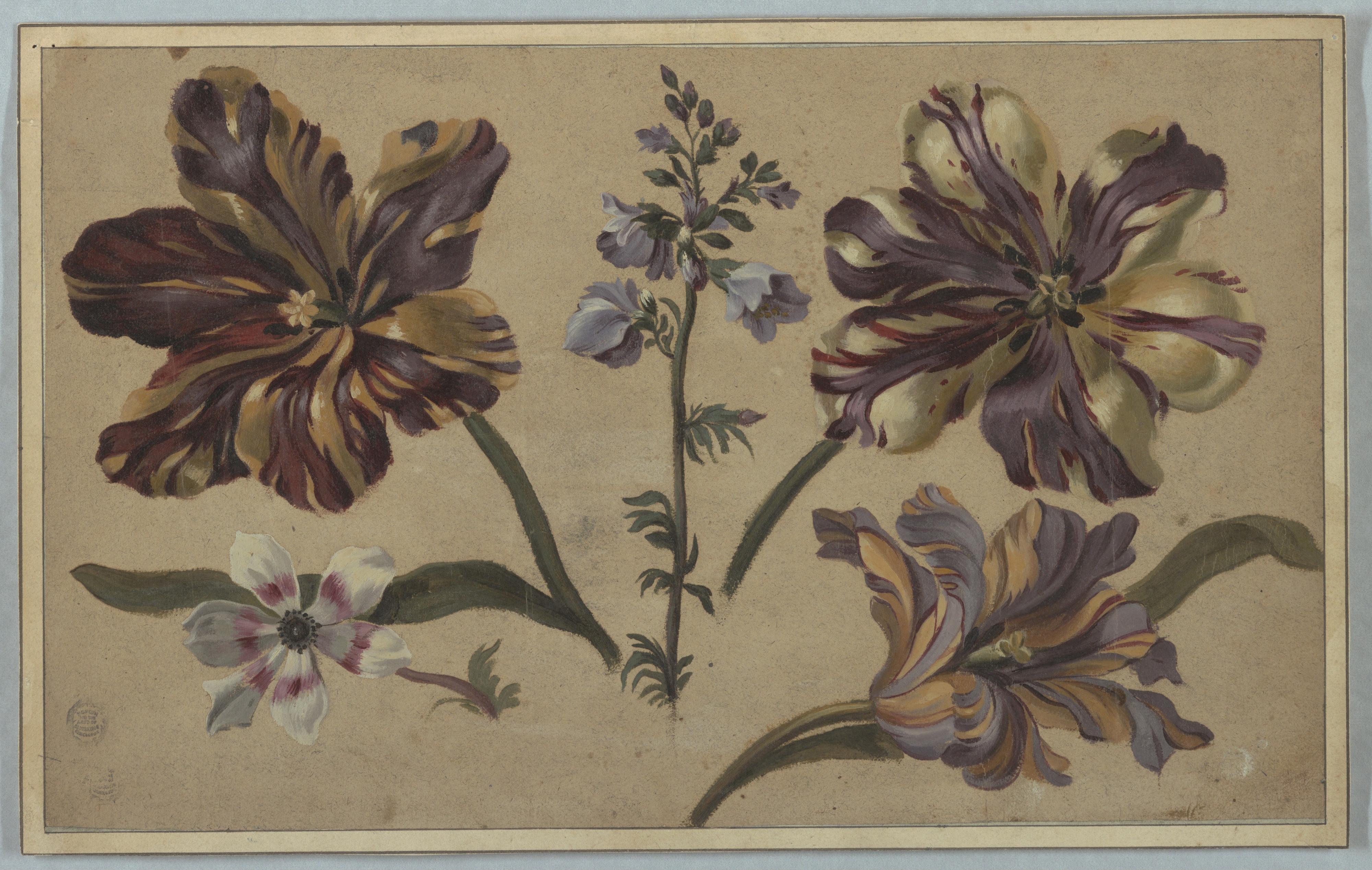 Various Florals