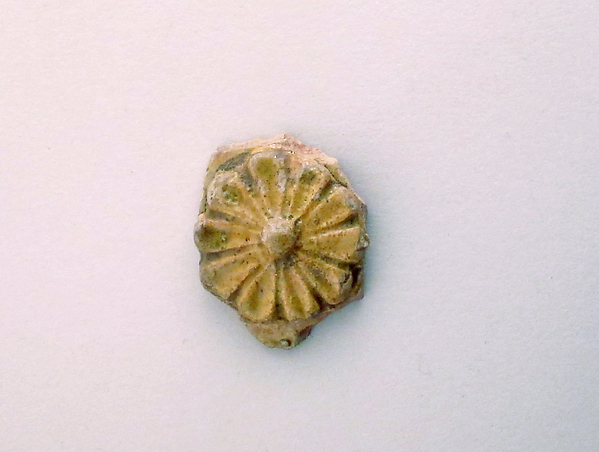 Vase fragment